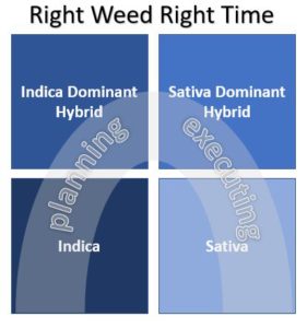 right weed right time graphic